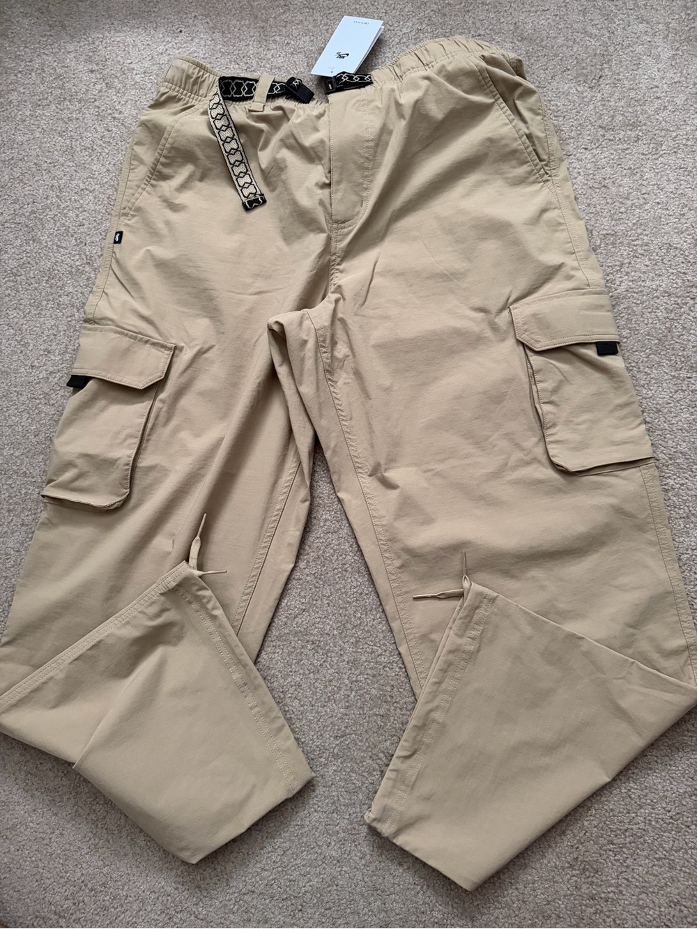 Nike SB Kearny pants